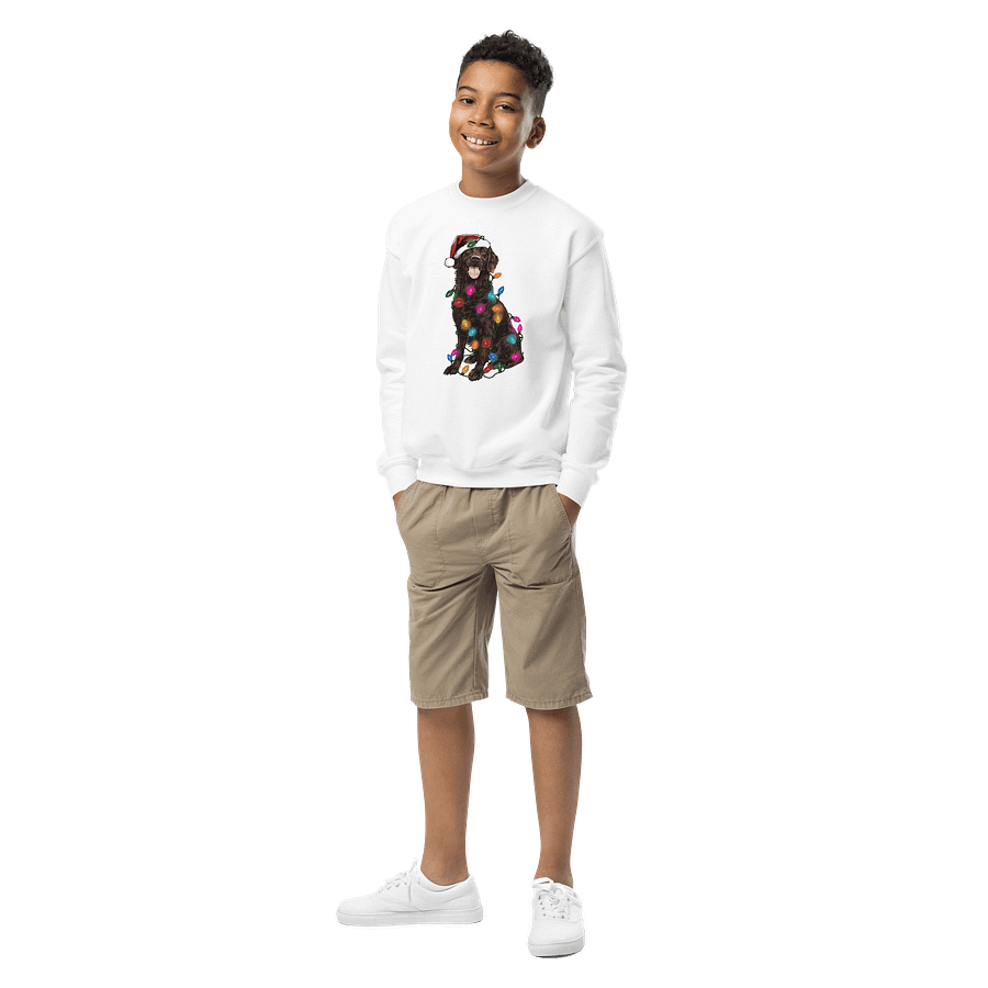 Funny Christmas Flat-Coated Retriever(Brown) Youth Sweatshirt product image (6)