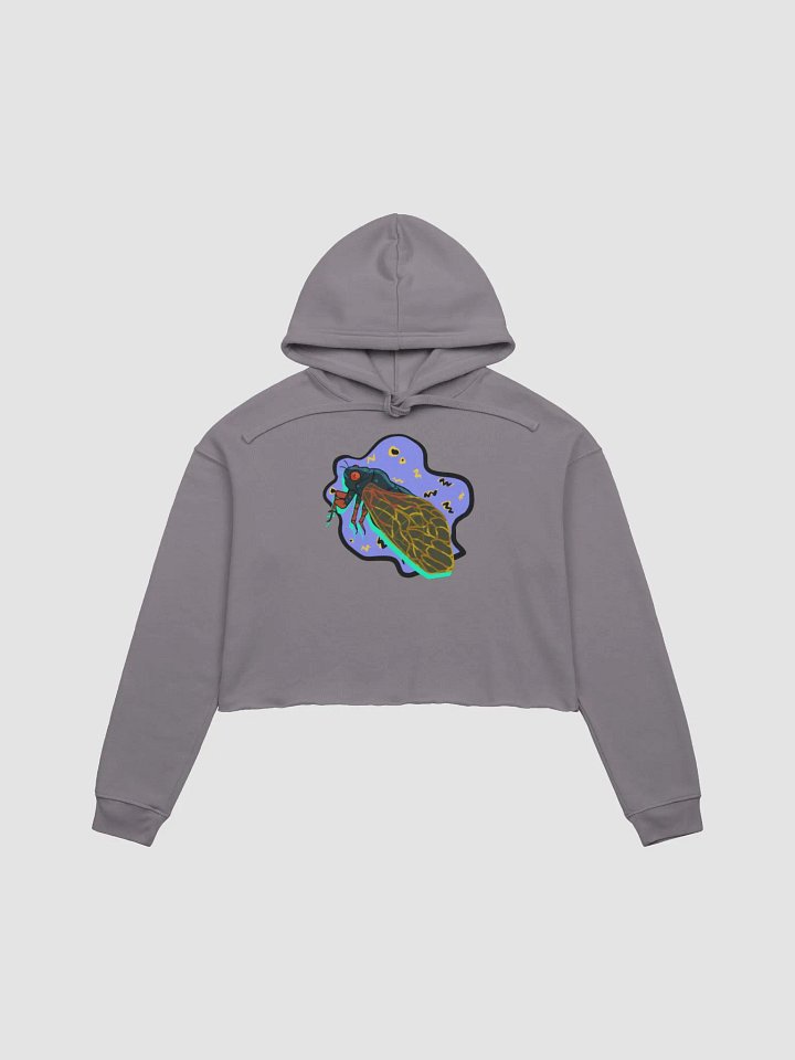 Vaporcicada fleece crop hoodie product image (2)