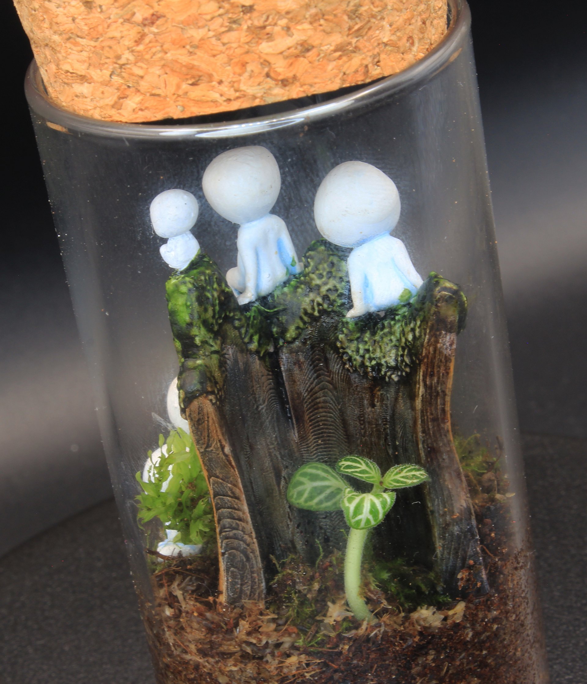 Miniscapes - Tree Sprits on a mossy log product image (3)