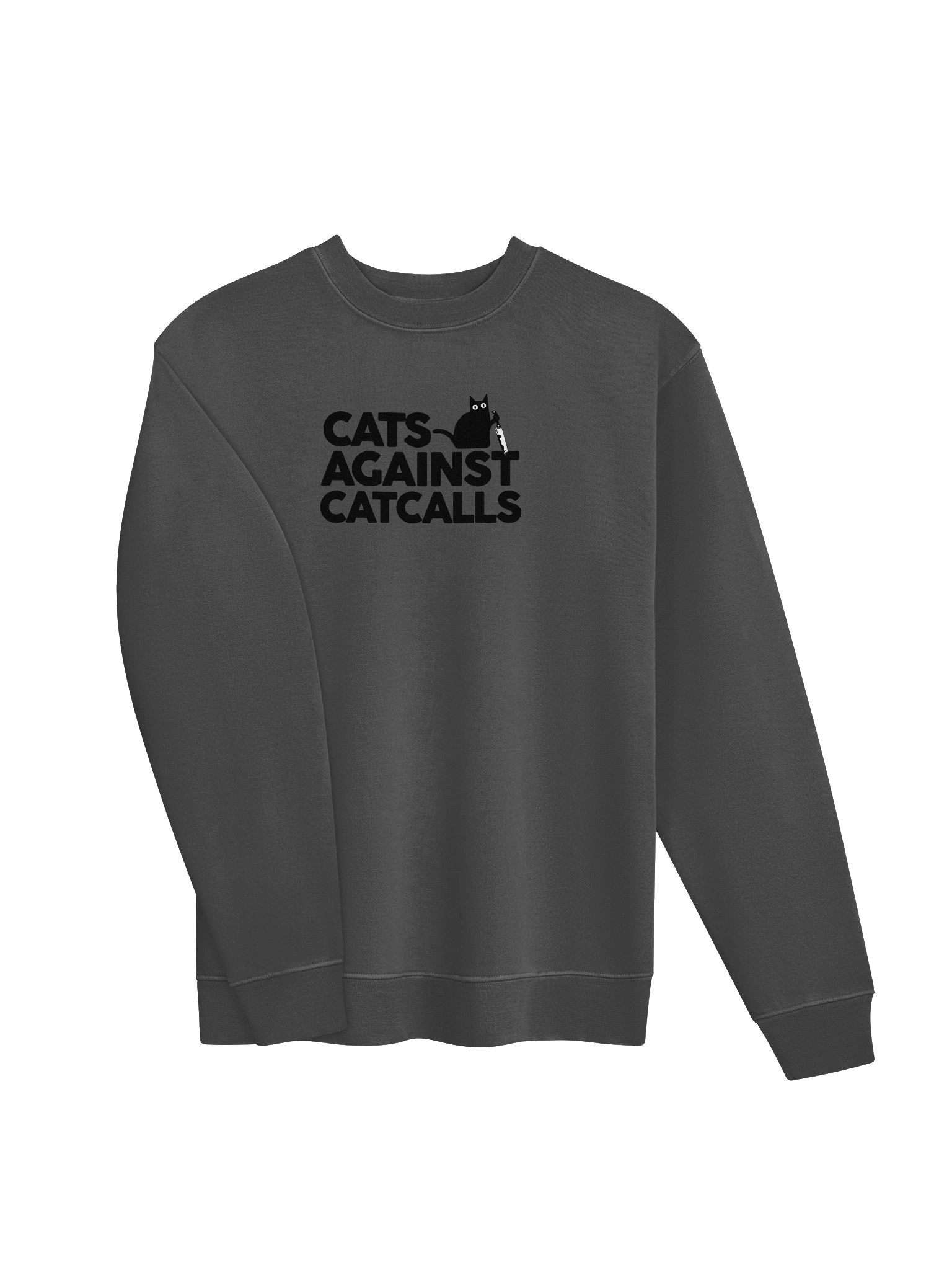 Cats Against Catcalls - Sweatshirt product image (26)