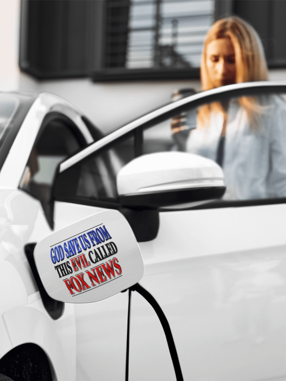 God Save Us From This Evil Called Fox News - Digital Download product image (4)