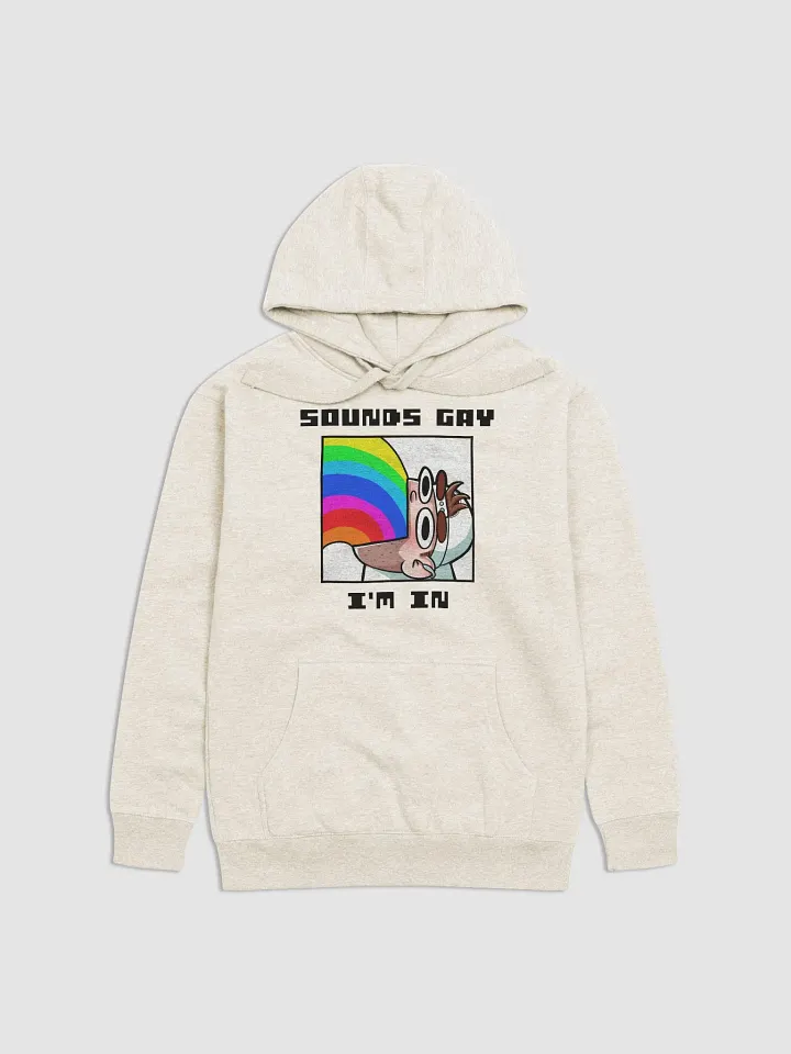 Sounds Gay I'm In Premium Hoodie product image (1)