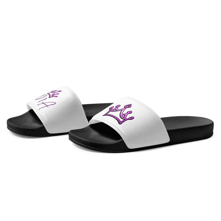EMA Slides product image (1)