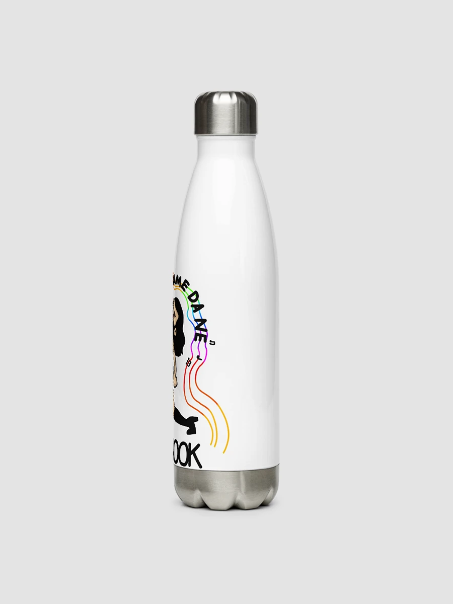 Dame Da Ne Stainless Steel Water Bottle product image (3)