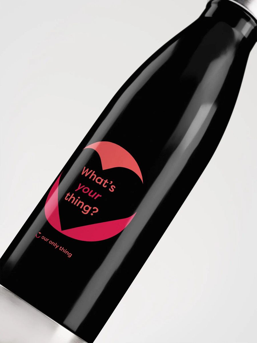 What's Your Thing 17oz Stainless Water Bottle product image (5)