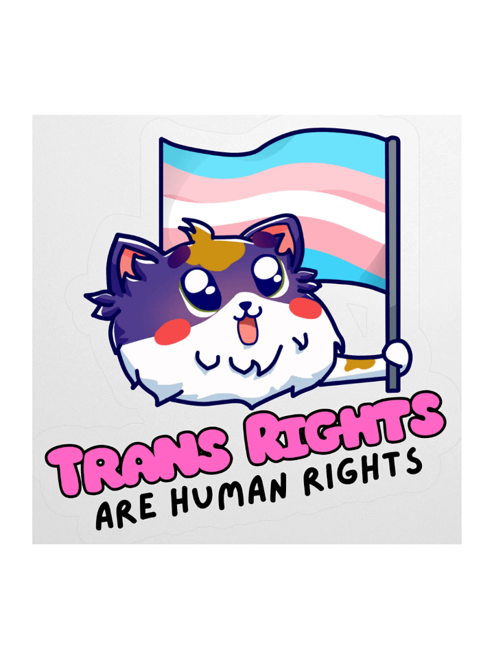 Trans Rights Sticker product image (1)