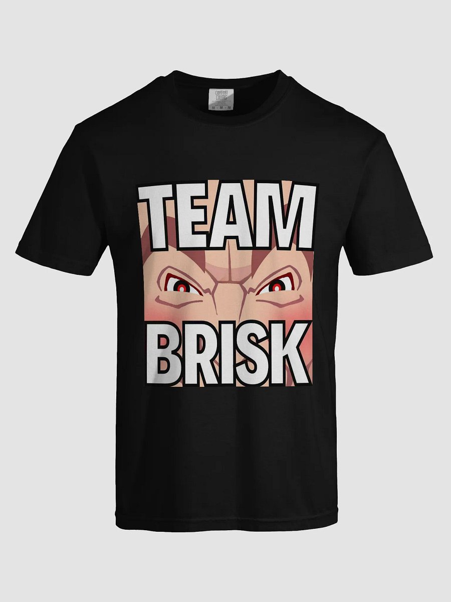Team Brisk Tee product image (5)