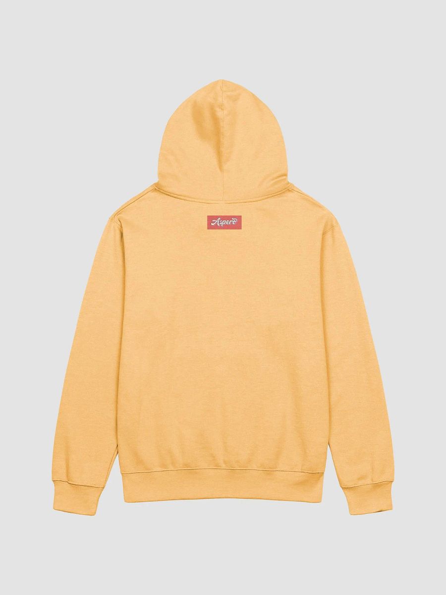 Aspero Independent Trading Co. Midweight Hoodie product image (45)