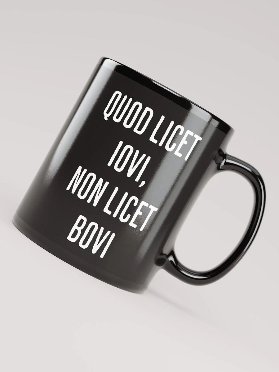 Quod Licet Iovi, Non Licet Bovi Mug product image (7)