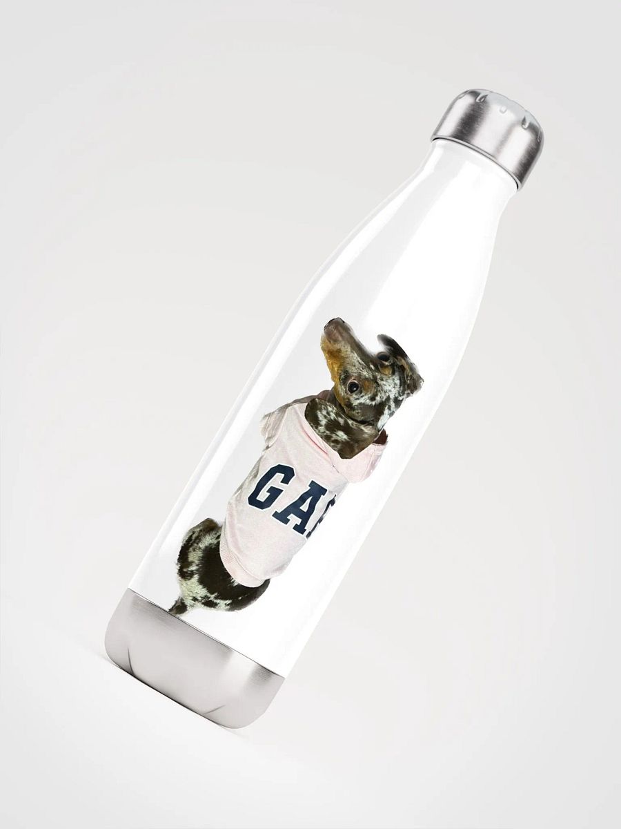 LuLu Sports bottle product image (4)