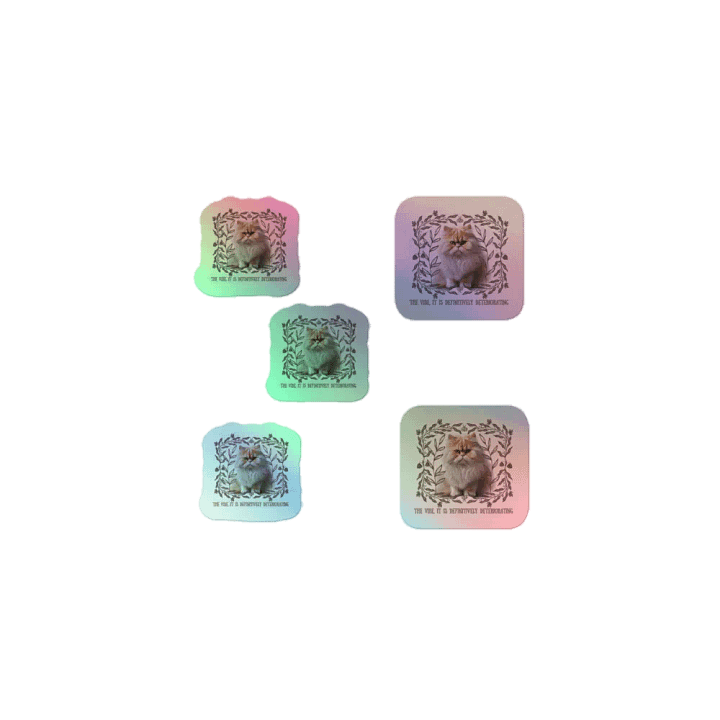 KC, The Vibe Is Deteriorating (floofy cat), Holo Sticker Pack product image (1)
