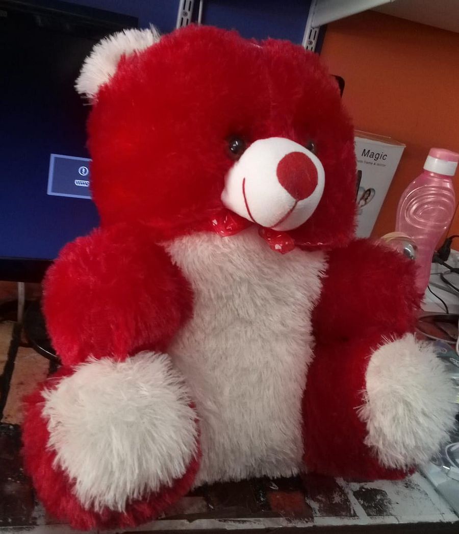 TEDDY BEAR product image (3)