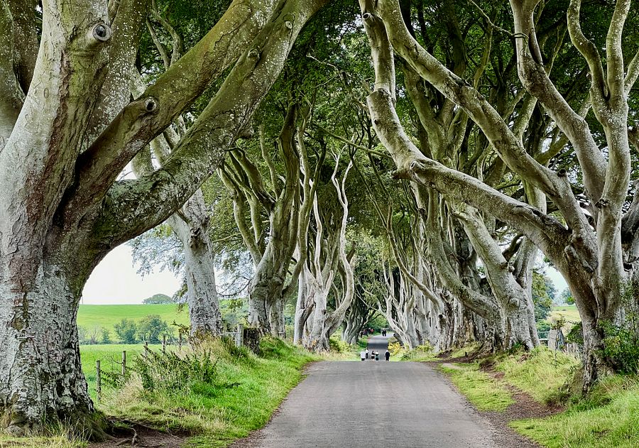 IRELAND & SCOTLAND, 16 Days, TOP HIGHLIGHTS, 5700 km, Tour Book & GPX Data product image (10)