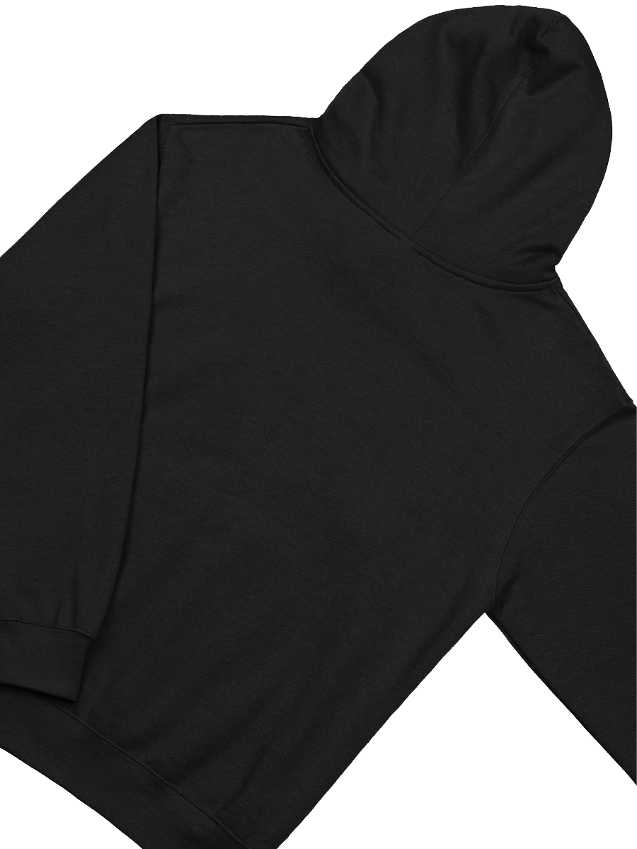Beware the Lavender Menace Adult Hoodie product image (19)