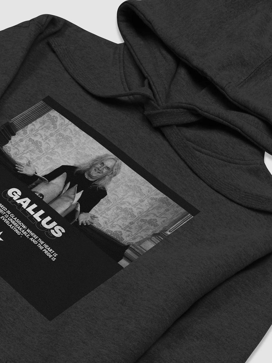 Gallus Hoodies product image (3)