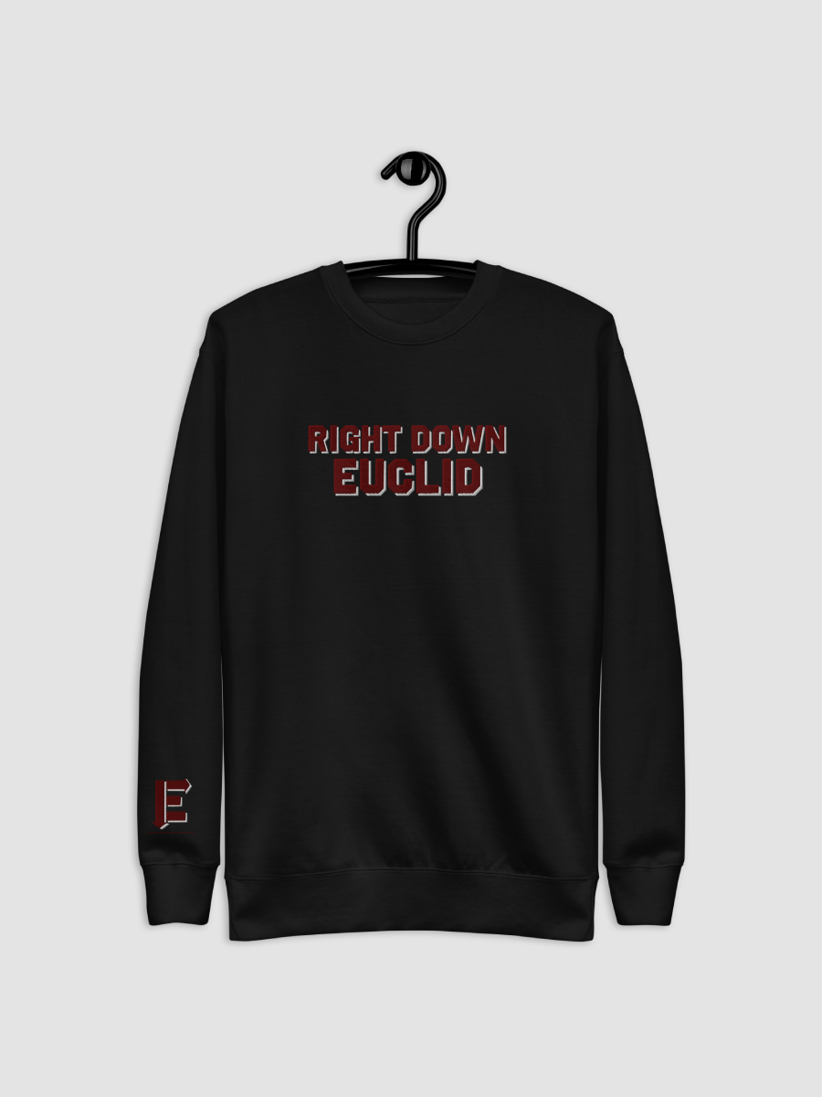Right Down Euclid Crewneck Sweatshirt product image (3)