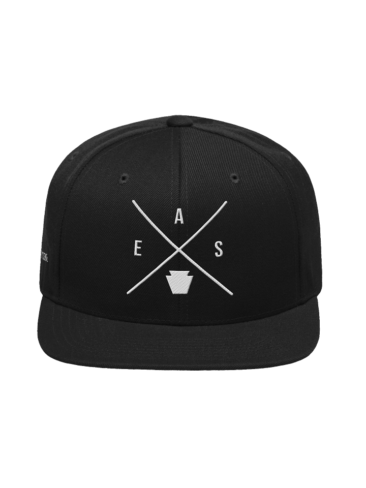 AES X Flatbrim Snapback product image (2)