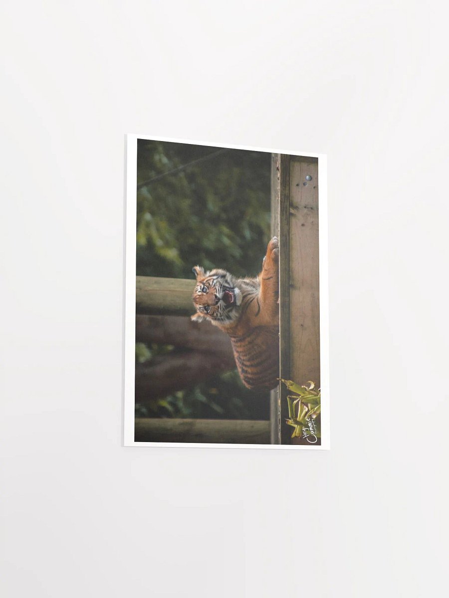 The Happy Cub - Print product image (3)