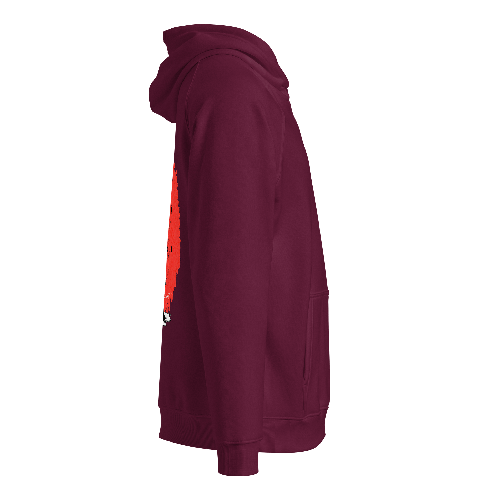 SOL'S Unisex Eco Raglan Hoodie product image (4)