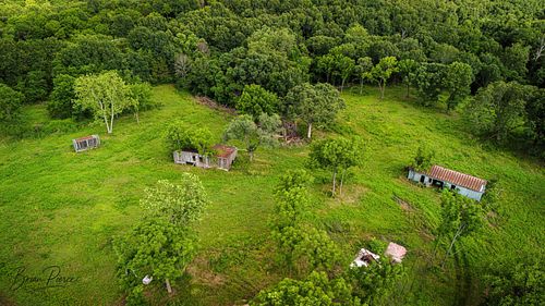 🌾🐄Forgotten Farmstead - Christian County, Missouri June 16, 2025 🐄🌾 
Old farm buildings fading into the Ozarks — tin roofs, w...