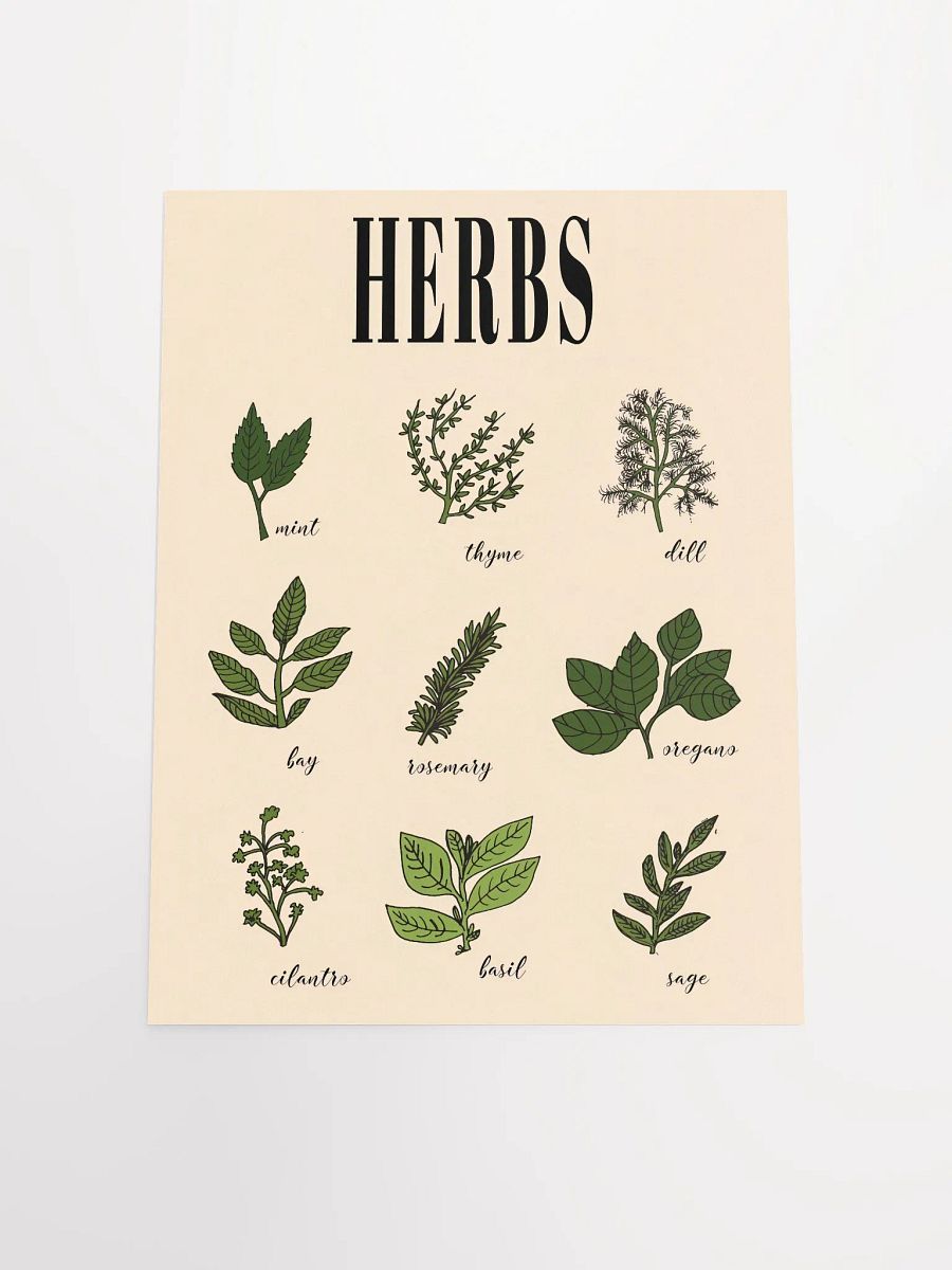 Vintage Culinary Herbs poster print product image (10)