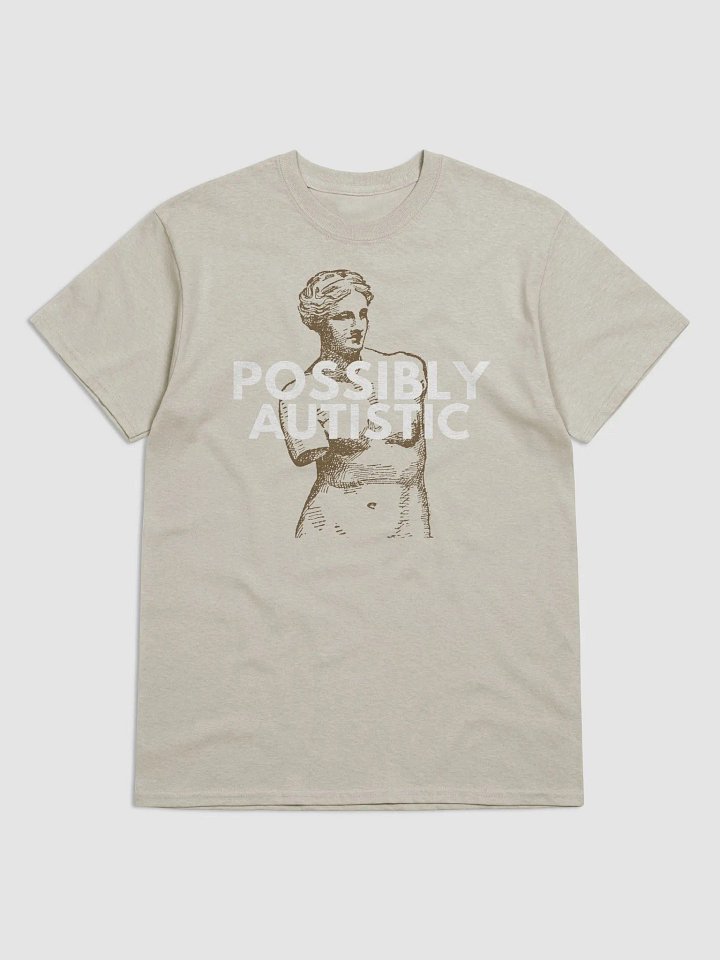 POSSIBLY AUTISTIC - SHIRT product image (1)