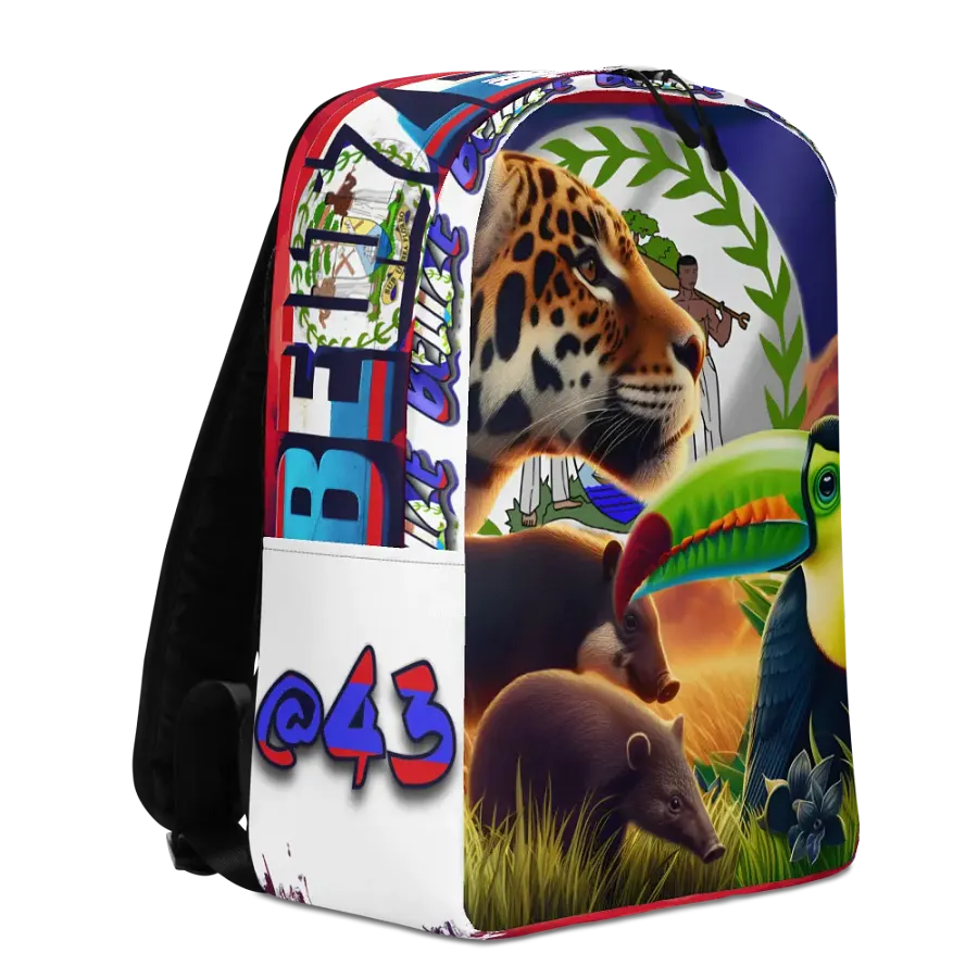 Beauty of Belize Backpack product image (10)