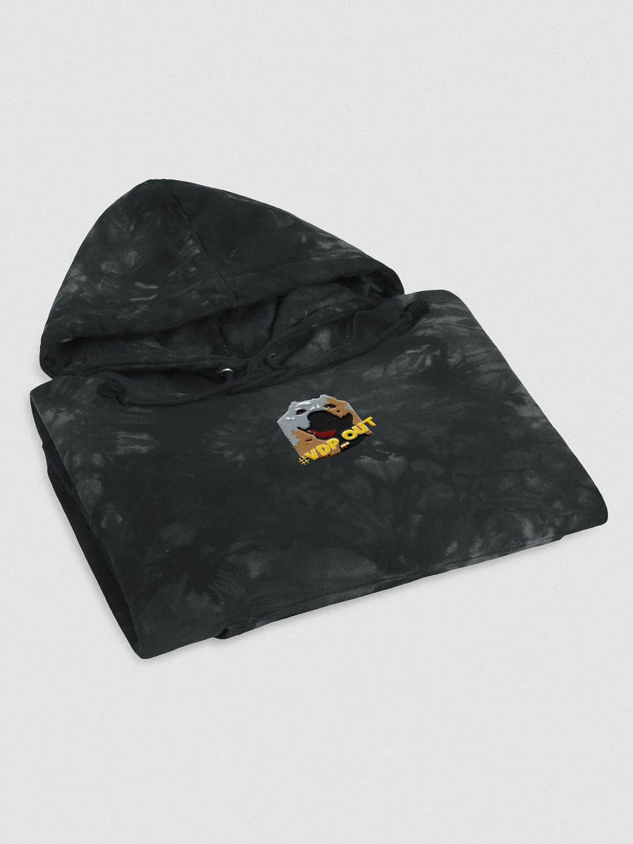 VDP_out ( Champion Hoodie ) product image (4)
