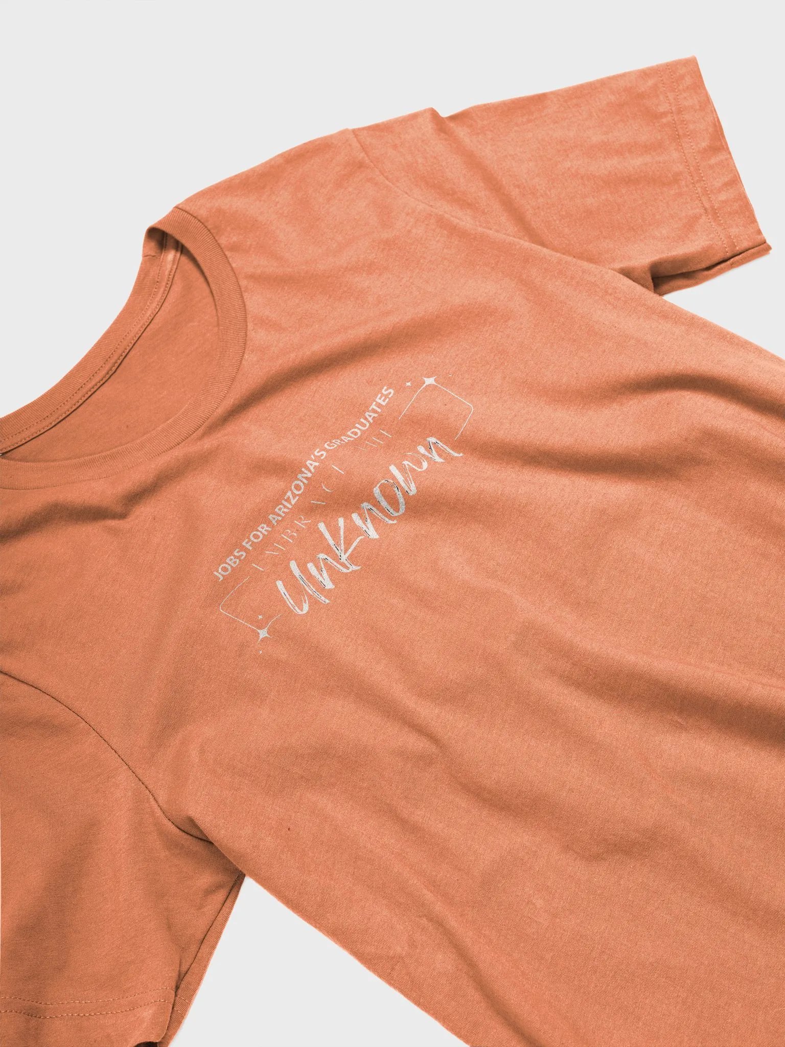 2023-24 Theme T-Shirt product image (3)