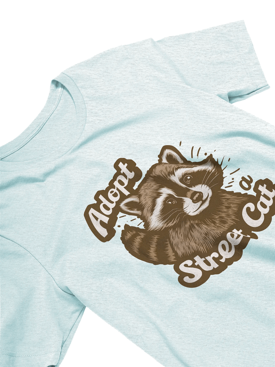 Retro Raccoon Adoption T-Shirt product image (2)