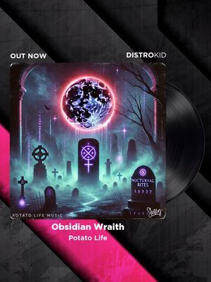 Nocturnal Rites Album is live! This highlighted song Obsidian Wraith is apart of it. See link in bio. #foryoupage #applemusic #spotify #fyp #applemusic #spotify #distrokid 