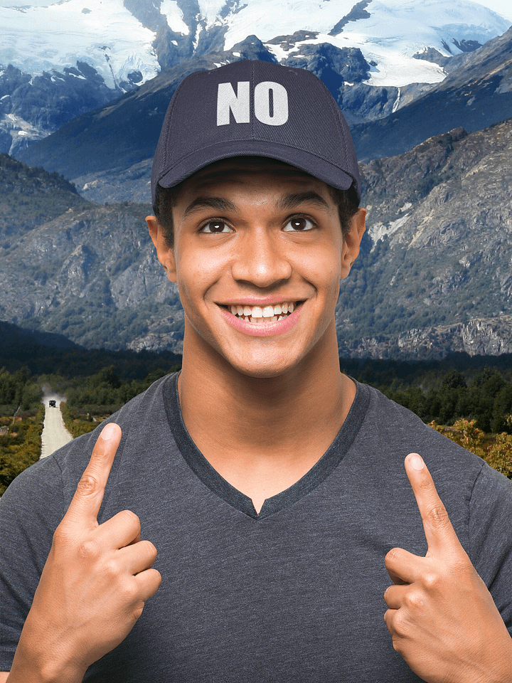 NO embroidered dad hat product image (1)