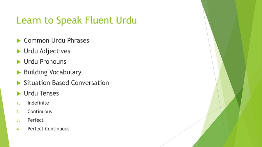 Introduction-Learn to speak fluent Urdu product image (1)