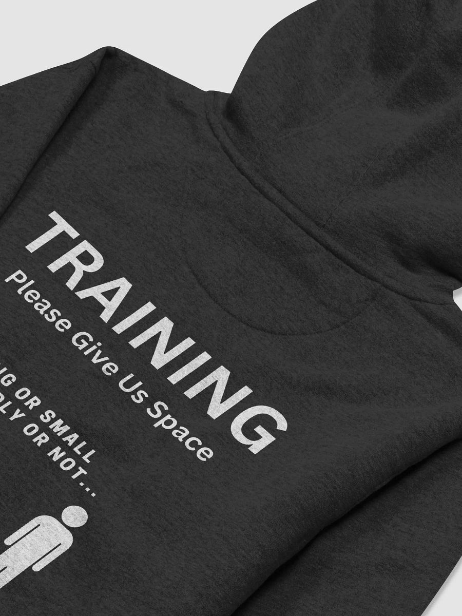 Training/Give Us Space Hoodie product image (4)
