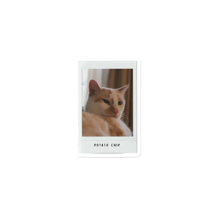 Potato Chip Polaroid Magnet product image (2)