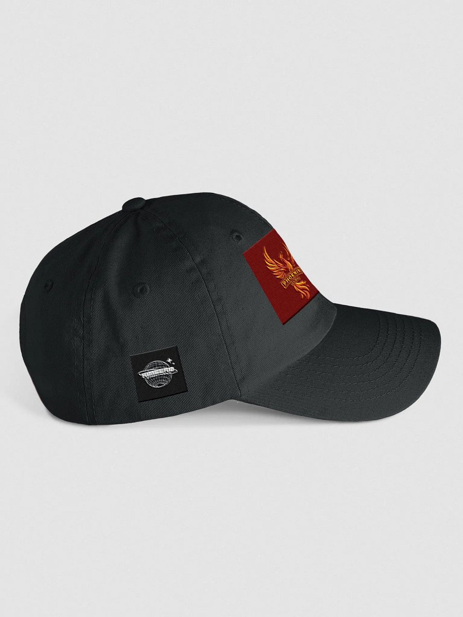 Dad Hat product image (4)
