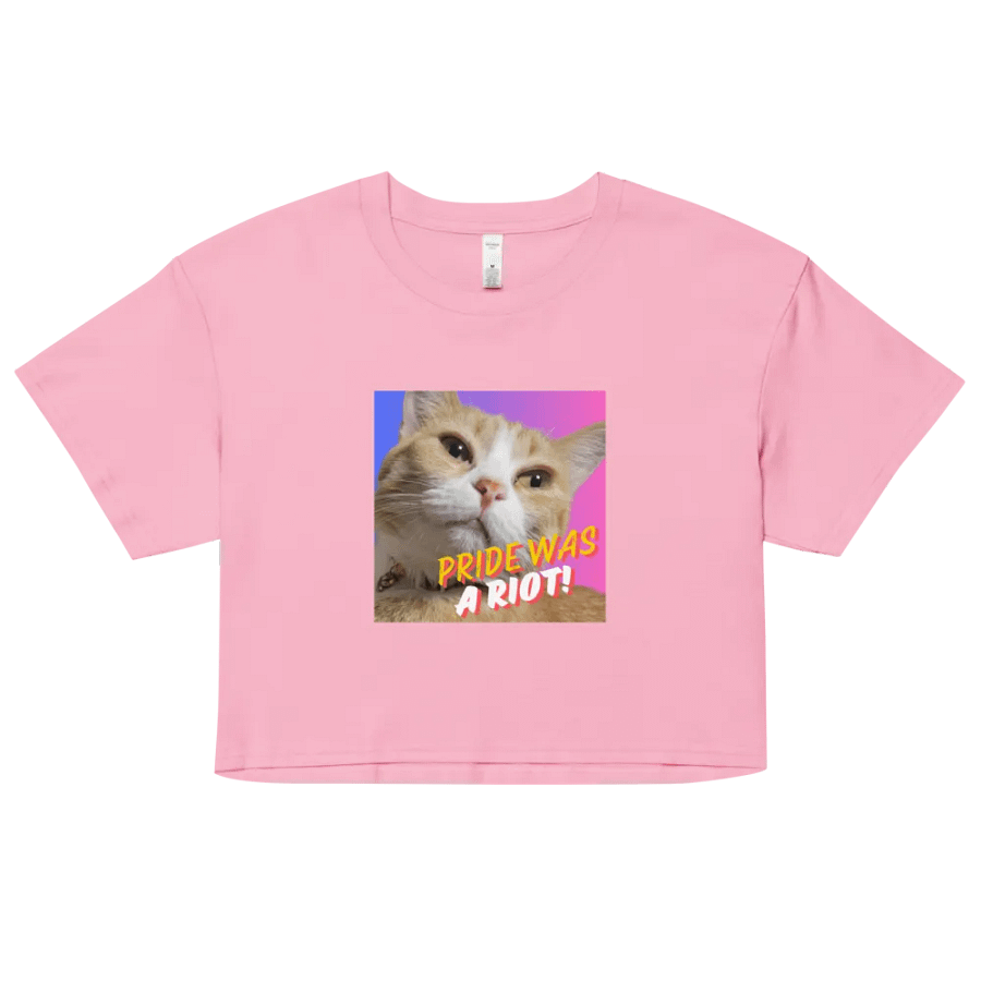 Moxie Bi-Pride Crop Top Tee product image (44)