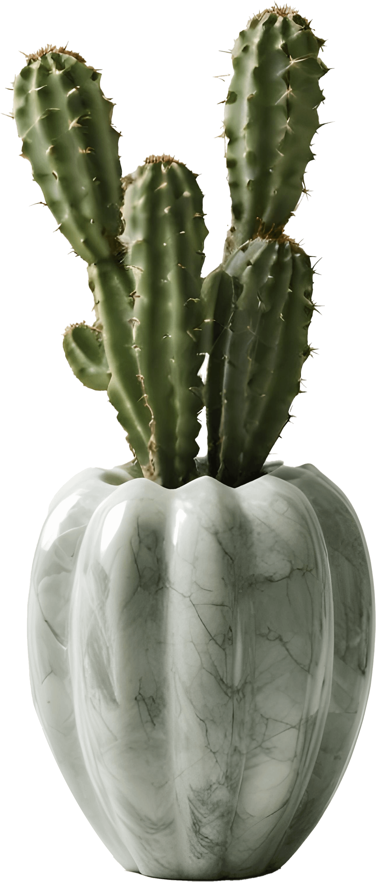 Gatsby Grace – Art Deco Trio Set PNG product image (4)