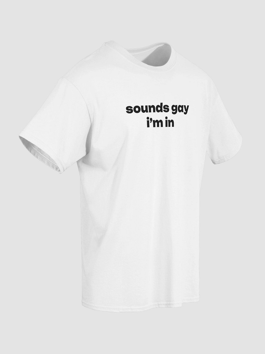 sounds gay i'm in T-Shirt product image (28)