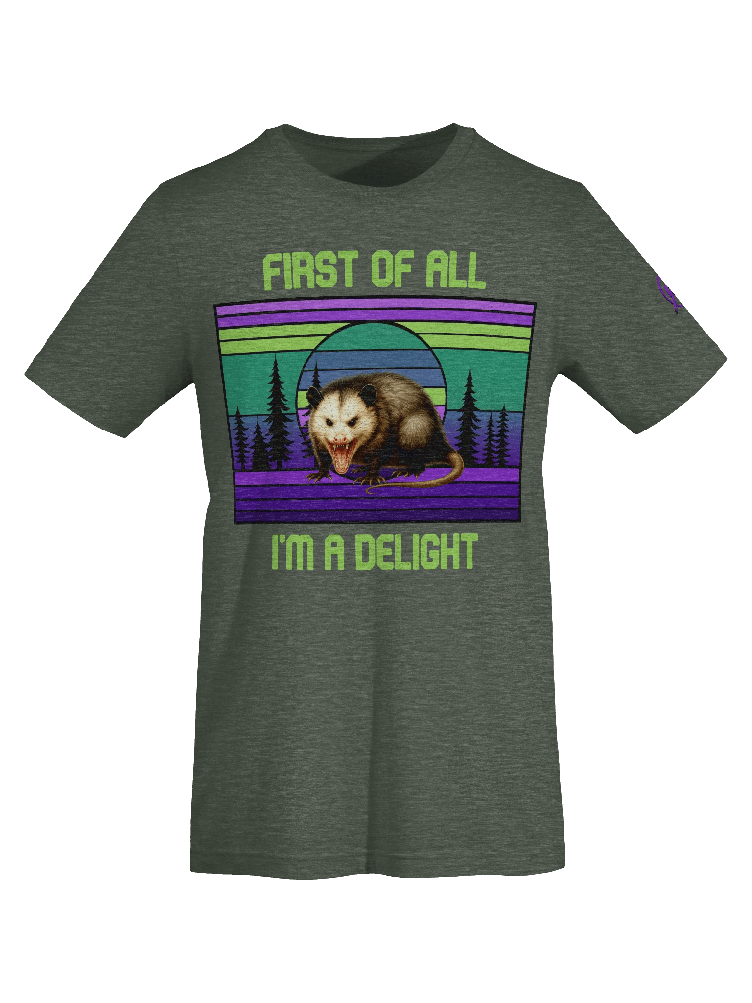 PASP Possum “I’m A Delight” Tee – Signature Colors product image (56)