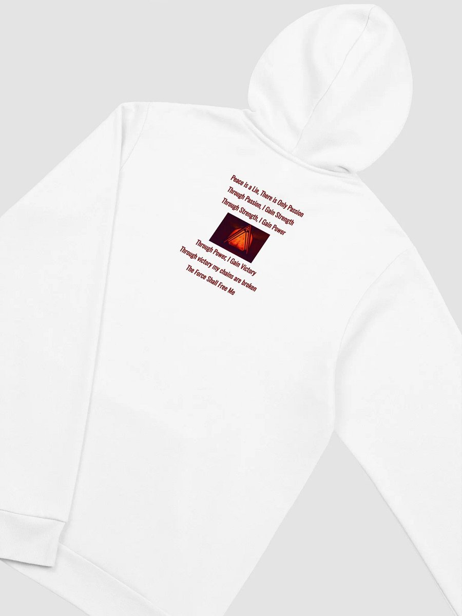 PURIST LOGO & DS Code Hoodie product image (4)