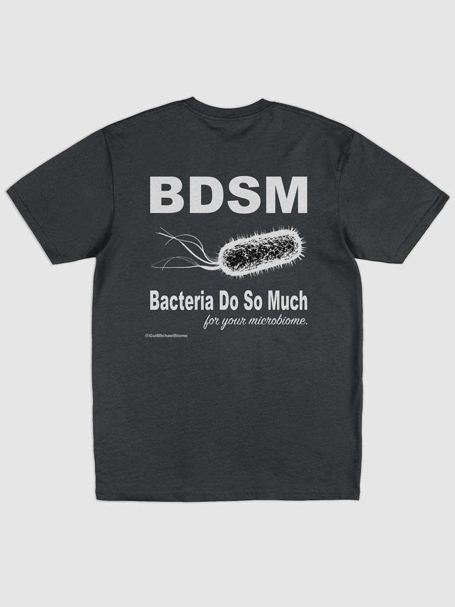 BDSM - Heavyweight T-shirt product image (2)