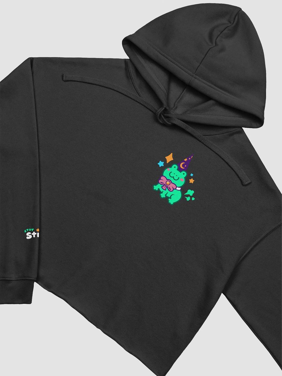 Wizard Frog Cropped Hoodie product image (11)