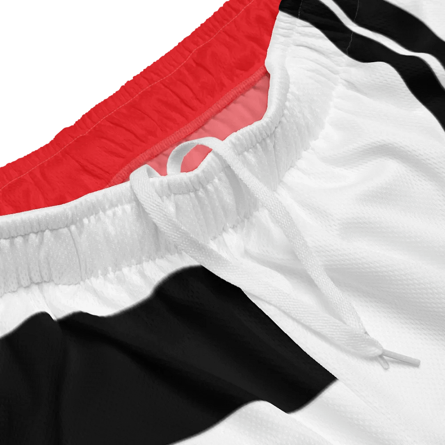 "Hoopsters Basketball" Tri-Color Athletic Shorts product image (3)