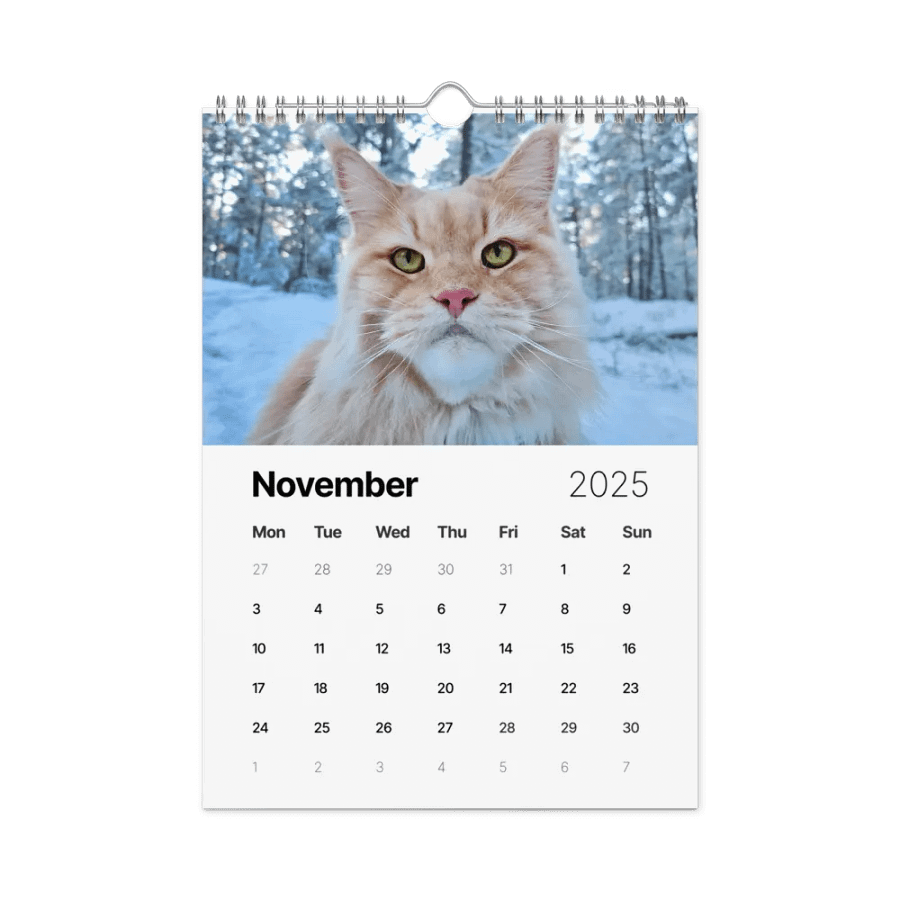 2025 Calendar - Maine Coon Adventures + Kittens product image (11)
