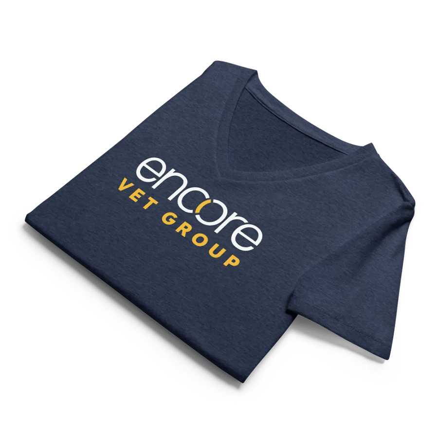 Encore Karma Cat Women's Bella+Canvas T-Shirt product image (11)