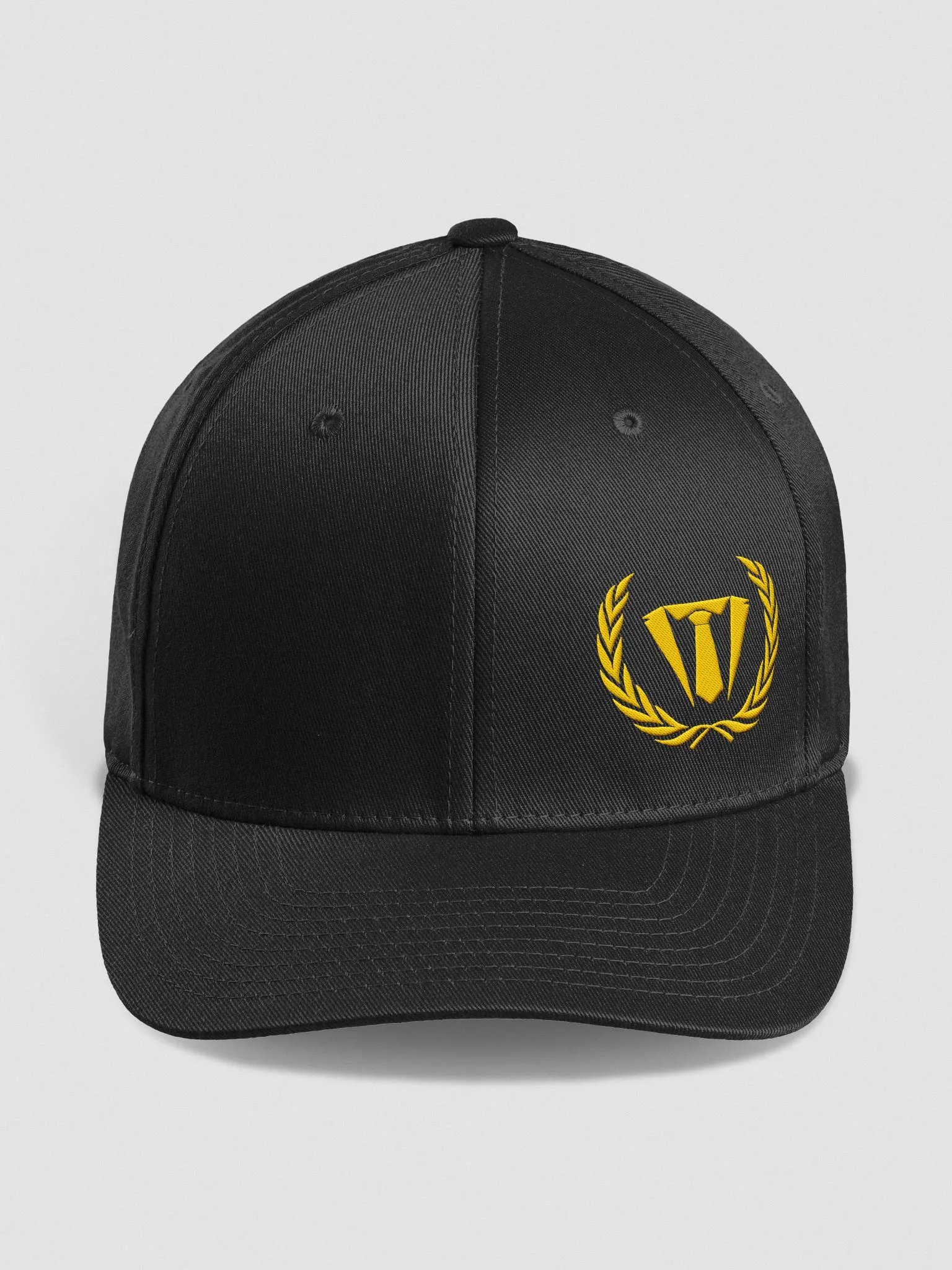 Champions Hat product image (1)