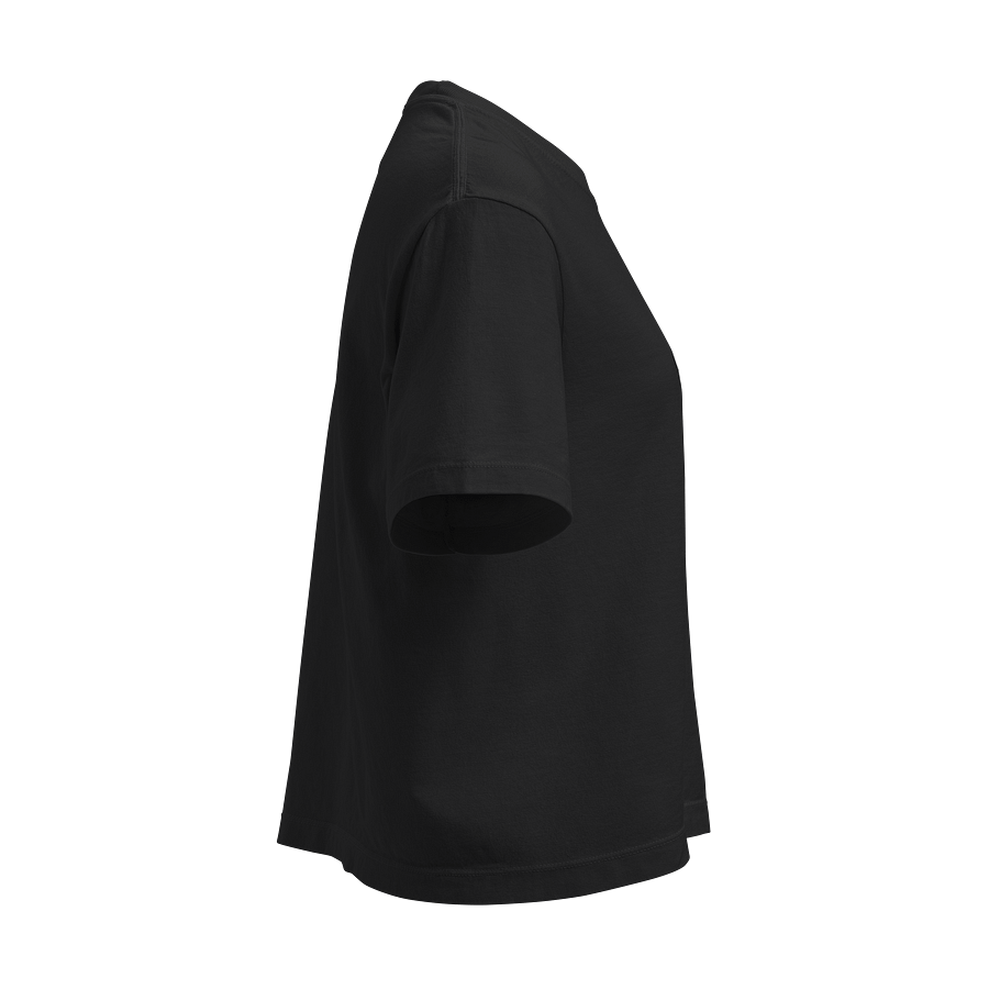 It's Not Just a Phase- Transgender Shirt product image (4)
