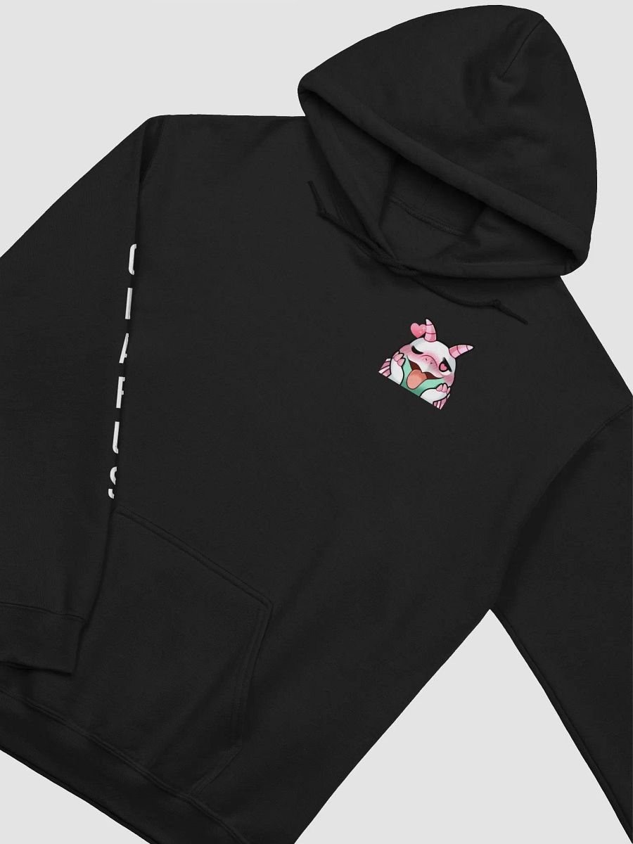 Polaris Hoodie product image (20)