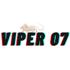Viper.Echo
